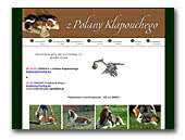 z Polany Klapouchego Basset Hound
