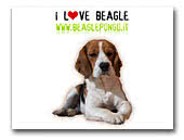 beaglepongo.it