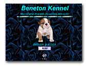English Bulldog Kennel Beneton