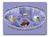 Berill Canis Minor Kennel