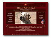 Labrador Retrievers and Shar Peis kennel Best Of Nika