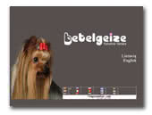 Yorkshire Terrier kennel Betelgeize