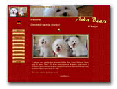 Aska Bears Bichon Frise