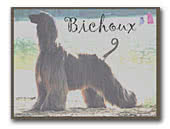 Bichoux