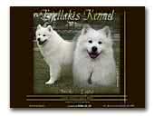Bjellakis Breeder