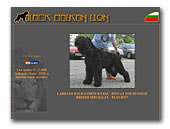 Black Balkan Lions