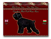 Black Russian Terrier Carpathian Black Pearl Ramir Baron