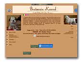 English Bulldogs Kennel Boatswain