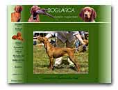 Boglarca Kennel
