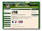 border-collie-and-co.fr