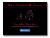 Bordpol Staffordshire Bull Terriers & Smooth Coat Chiuhahuas