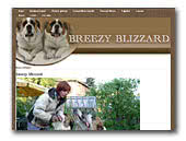Breezy Blizzard