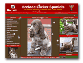 Brelade Cocker Spaniels Kennel