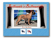 Bullcastle's Bullmastiffs