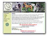 CC Star Light MS Cane Corso Italiano