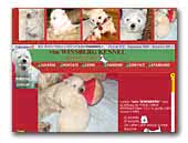 West Highland White Terrier von Winsberg