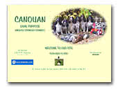 Canouan English Springer Spaniels
