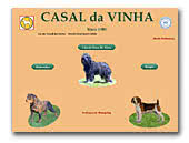 Portugese Sheepdogs Casal da Vinha