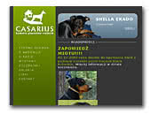 Casarius German Pinscher kennel