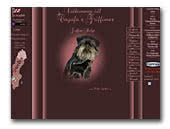 Brussels Griffons Kennel  Cayafa's