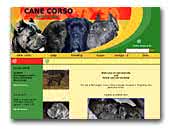 Cane Corso Bella's Breeder