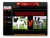 Bulldog Kennel Carpe Diem