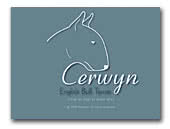 English Bull Terrier Kennel Cerwyn