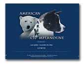 American Akitas Champernoune Kennel