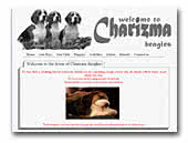 Beagles Charizma