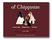 of Chippysize