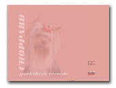 Choppard Yorkshire Terriers Kennel