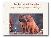 Shar Pei Kennel Damishar