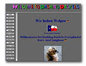 Miniature Dachshunds Dashing Dackels' Kennel