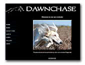 Salukis Dawnchase