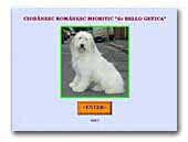 de Bello Getica Kennel