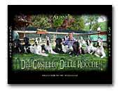 Great Danes Kennel Del Castello Delle Rocche