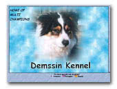 Demssin's Border Collies