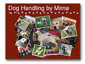 Dog handling by Mirna Dujmović