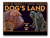 Dog's-land Dogue de Bordeaux Kennel