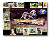 Garde d'Honneur Dogue de Bordeaux