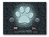 Parson Russel Terrier Kennel Dwie Twarze