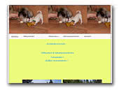 Chihuahua & Pekingese Kennel Elrikan