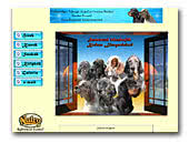 Farkasvölgyi-Tekergő English Setters Kennel