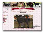 Flat Coated & Curly Coated Retriever