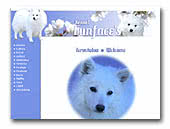 Kennel Funface's Japanese Spitz