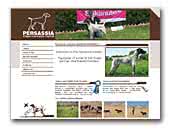 Persassia German Shorthaired Pointers