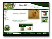 Chihuahuas and Great Danes Kennel Great Hill