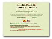 Guademicil Smooth Fox Terriers