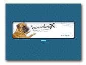 Boxer kennel hanaboX