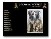 Irish Wolfhounds Of Lahrob Kennel